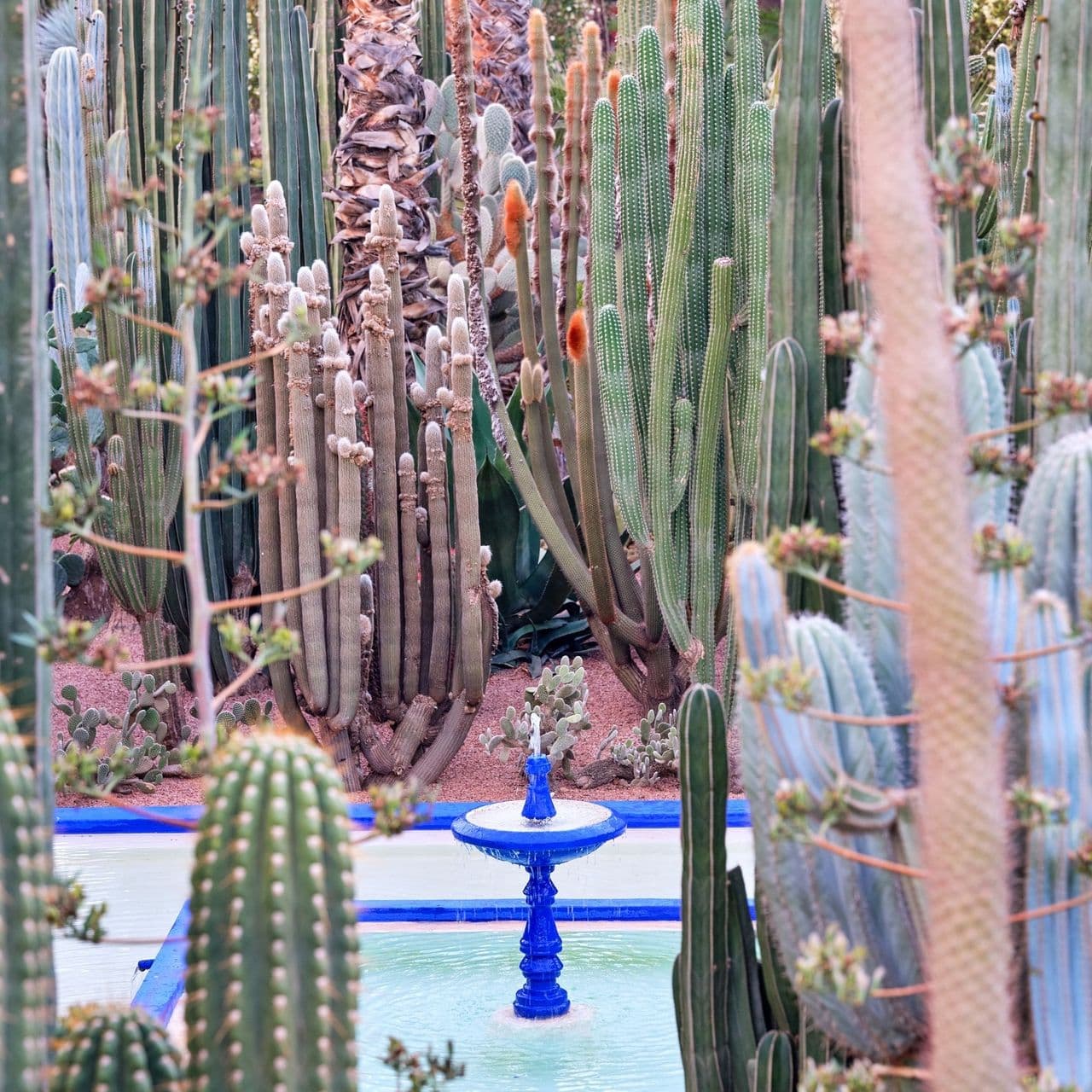 Le Jardin Majorelle Marrakech