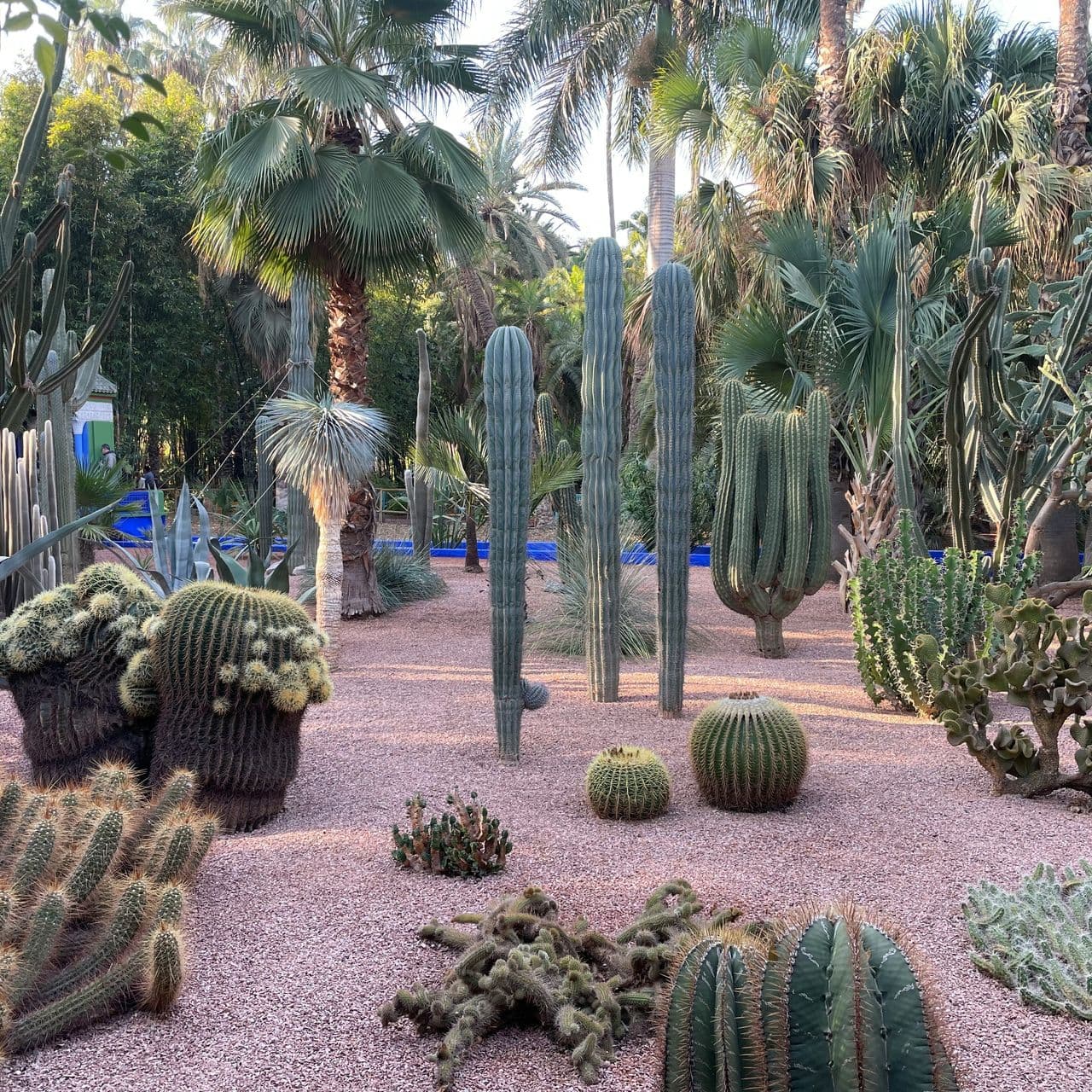 Jardin Majorelle Marrakech