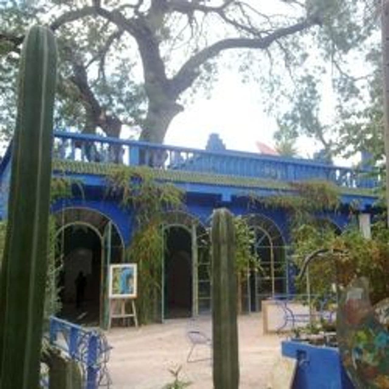 Du jardin à la villa Majorelle