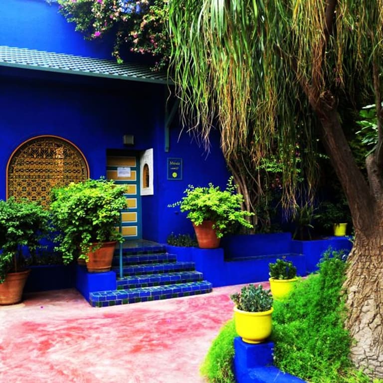 Majorelle garden: a guided tour among palms and bamboos...