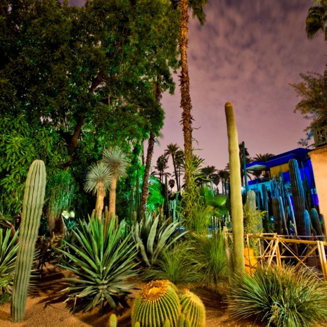 Majorelle Garden, a treasure in the city