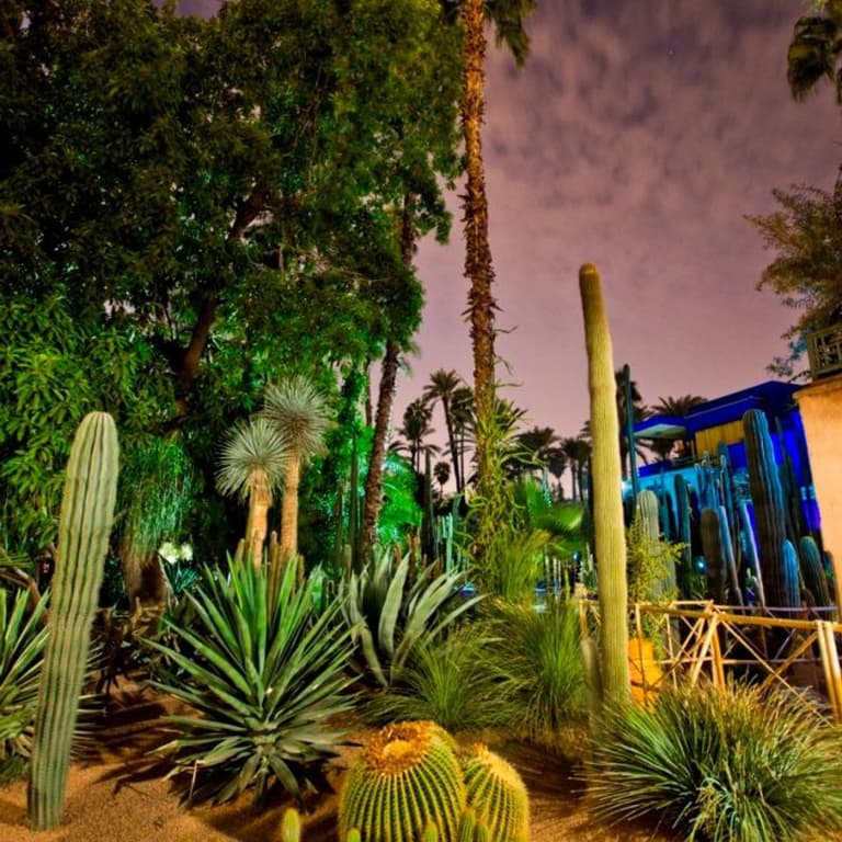 Majorelle Garden, a treasure in the city