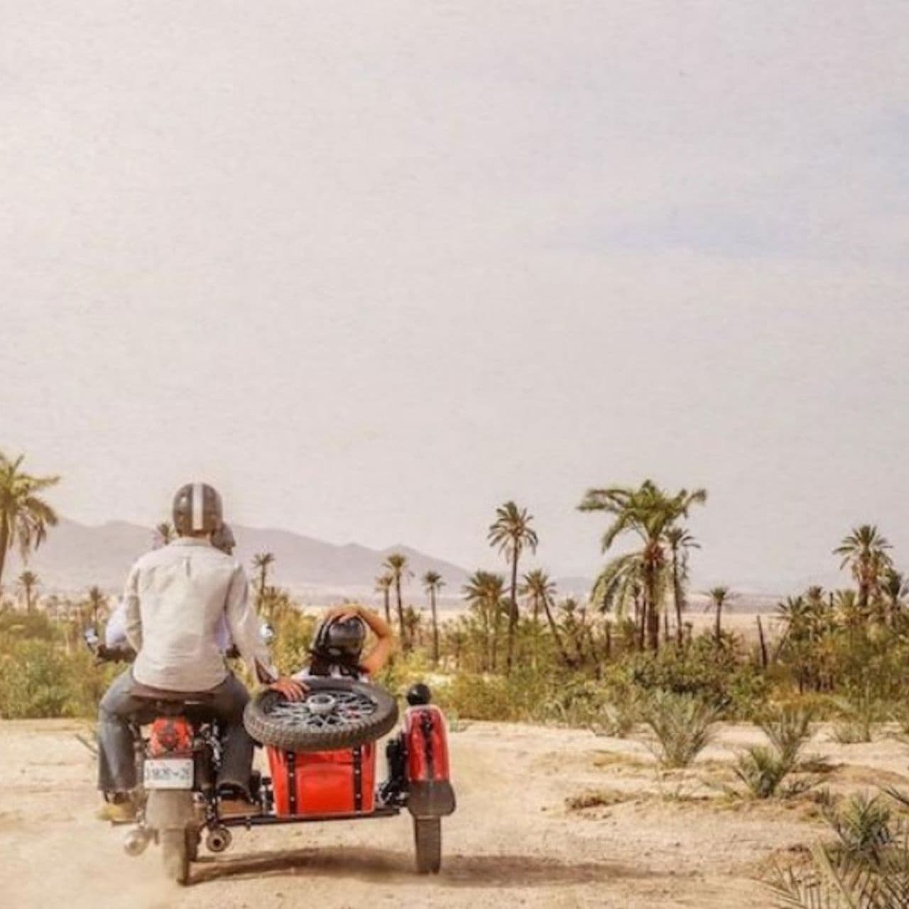 Top 5 unusual activities to do in Marrakech